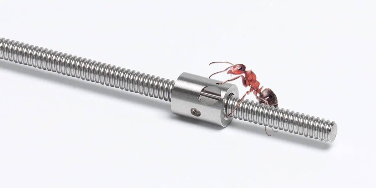 Ameise auf Metallschraube